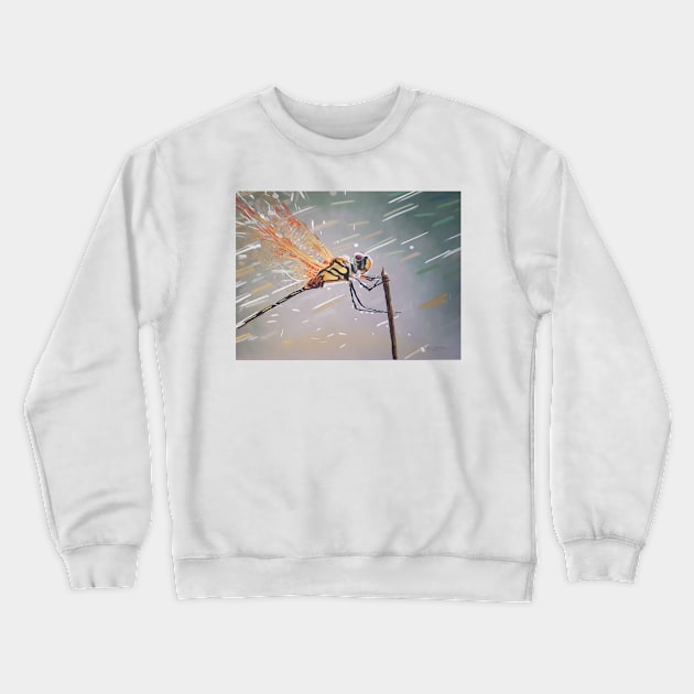 Rain Crewneck Sweatshirt by dylanshelmerdine